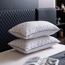 Luxury Hotel-Grade Neck Support Pillow (Option: Style1)